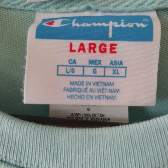 CHAMPIOM Heavyweight Heritage Football Tee - (L) NWT - Picture 10 of 14